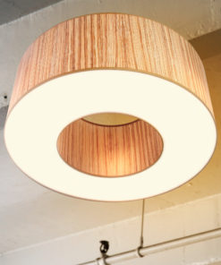 Ceiling lighting modern