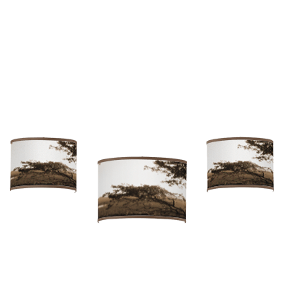 Visual Products Configurator option image